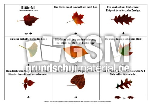 Domino-Blätterfall-Morgenstern.pdf